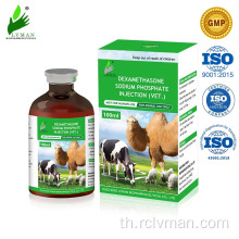 การฉีดโซเดียมฟอสเฟต dexamethasone สำหรับการใช้สัตว์เท่านั้น